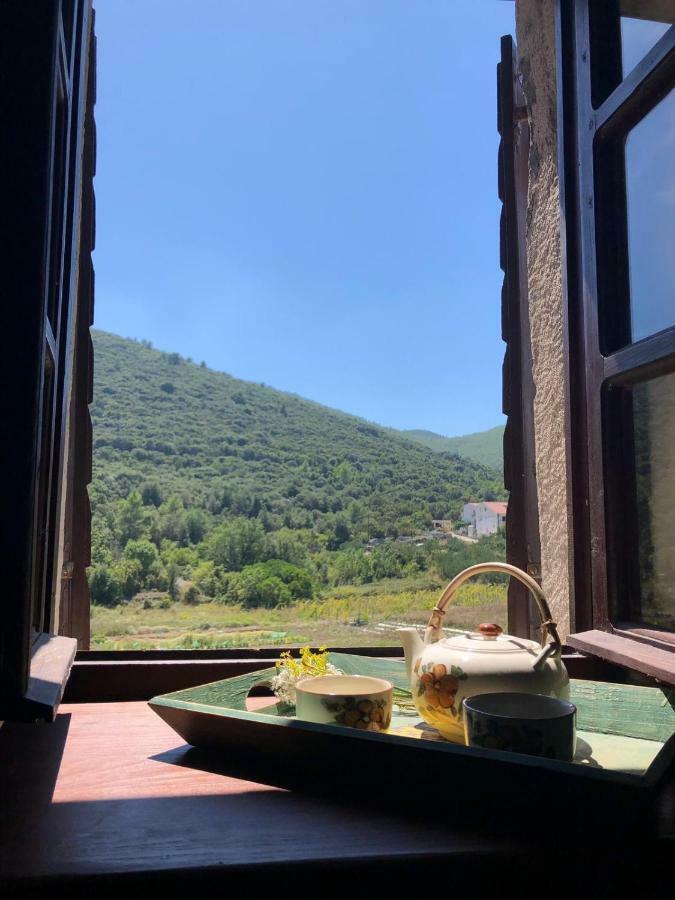 Holiday Home Villa Kastel Zrnovo Exterior photo